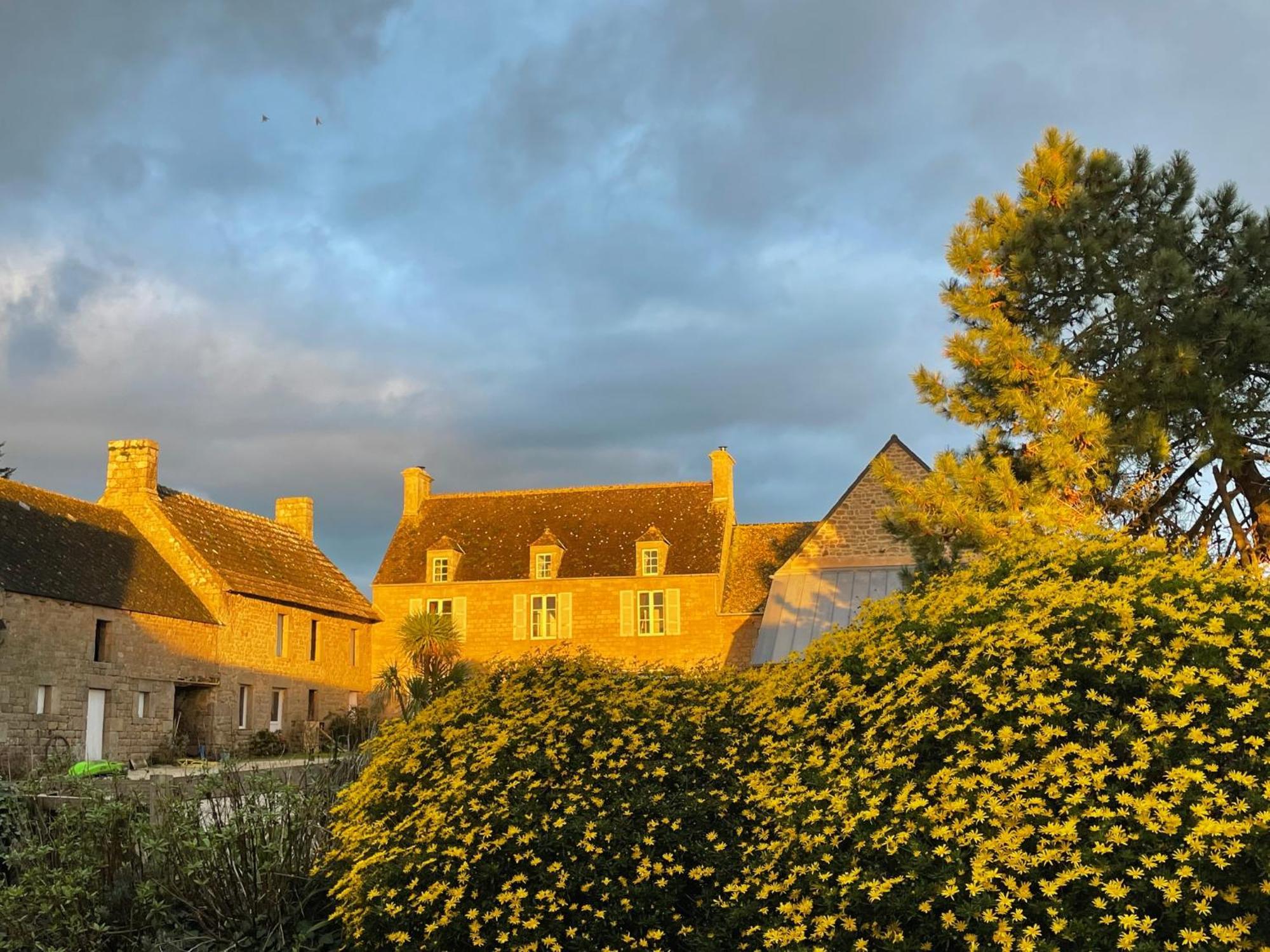 La Ferme De Nehou Hotel Gatteville-le-Phare Eksteriør billede